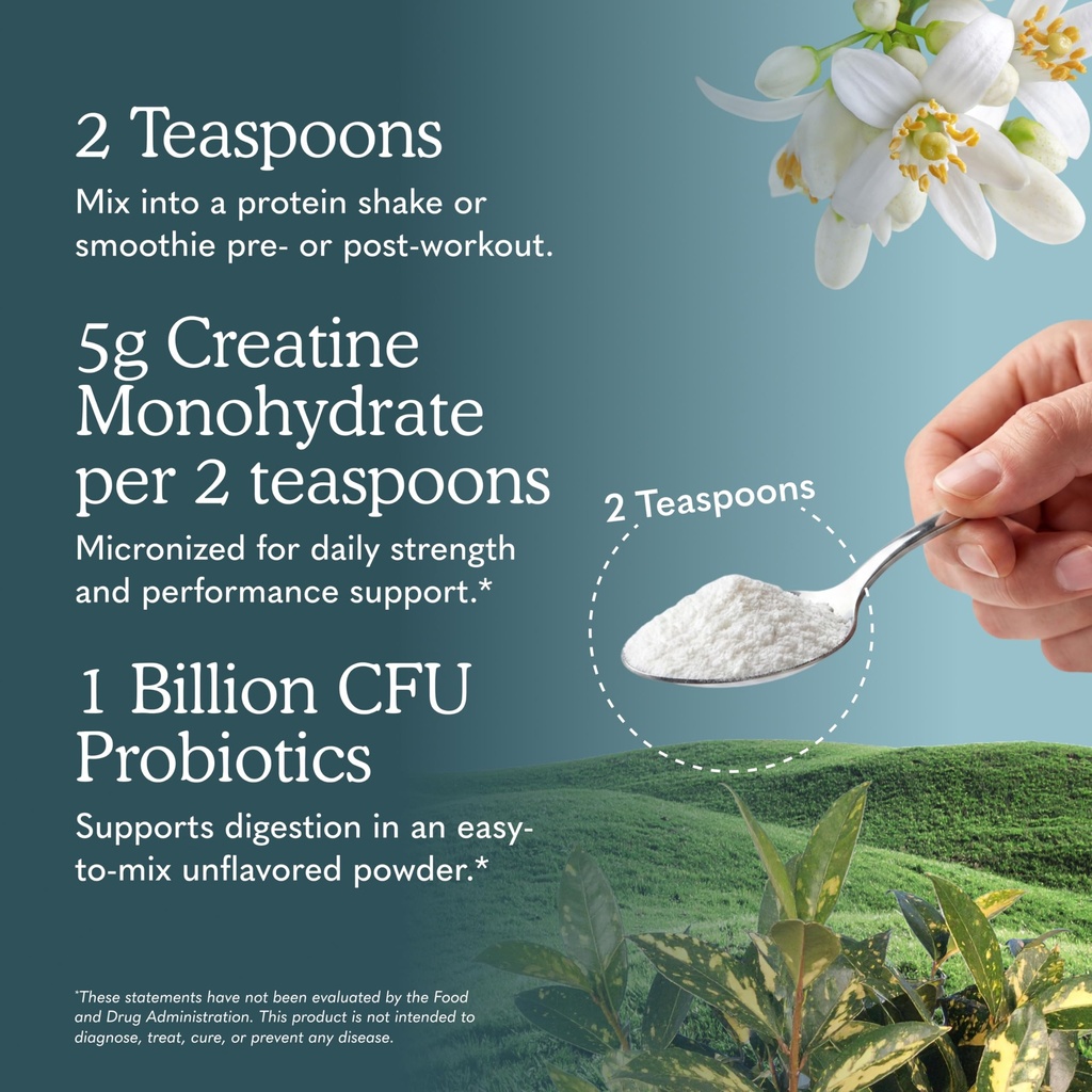 garden-of-life-sport-creatine-monohydrat-81Cl8Jn2FBL.jpg