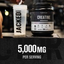 jacked-factory-creatine-monohydrate-powd-71lfnmG0HRL.jpg