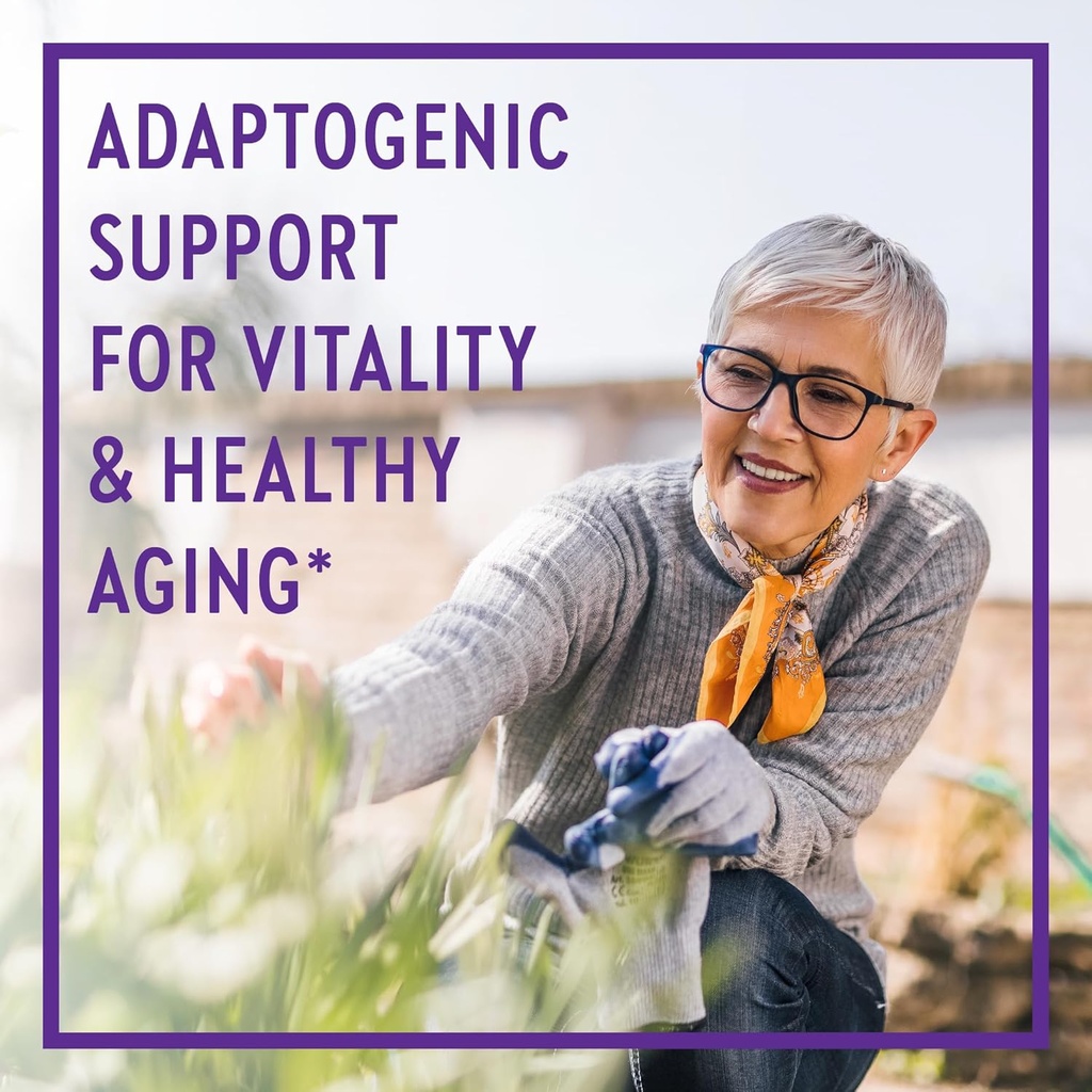 new-chapter-superfood-reishi-mushroom-ca-2.jpg