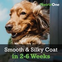 100-pure-camelina-oil-for-dogs-16-oz---d-3.jpg