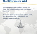 north-american-herb-spice-super-strength-6.jpg
