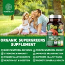 number-one-nutrition-n1n-premium-plant-b-4.jpg
