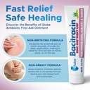 globe-3-pack-bacitracin-zinc-ointment-al-5.jpg