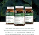 gaia-herbs-pro-cinnamon-bark---supports--6.jpg