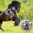 the-blissful-horses-hoof-butter-all-natu-2.jpg