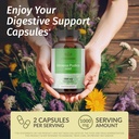 herbamama-mimosa-pudica-seed-capsules----2.jpg