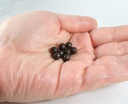 seasonal-allergies-200-pills-pe-min-gan--4.jpg