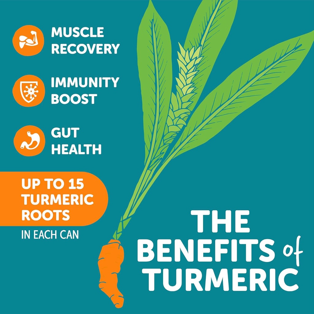 zyn-turmeric-wellness-drink-6-pack-lemon-3.jpg