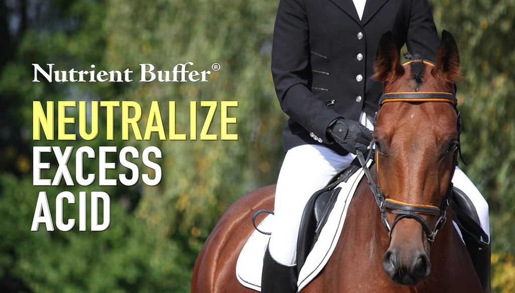1-gallon-ulcer-acid-relief-digestive-aid-4.jpg