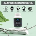 sea-moss-with-irish-moss-burdock-root-bl-5.jpg