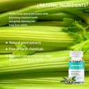body-deodorizing-supplementbody-deodoran-3.jpg