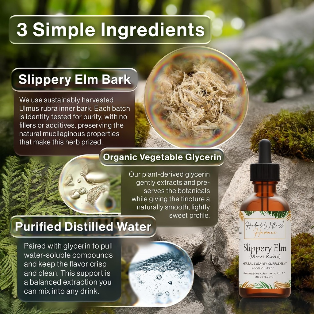 slippery-elm-ulmus-rubra-dried-bark-alco-2.jpg