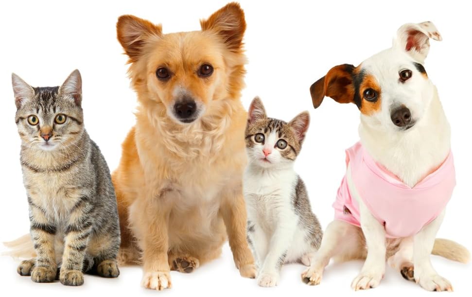 cat-immune-system-support---ultra-vitami-3.jpg