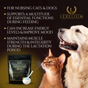 nursing-supplement-and-vitamins-for-nurs-3.jpg