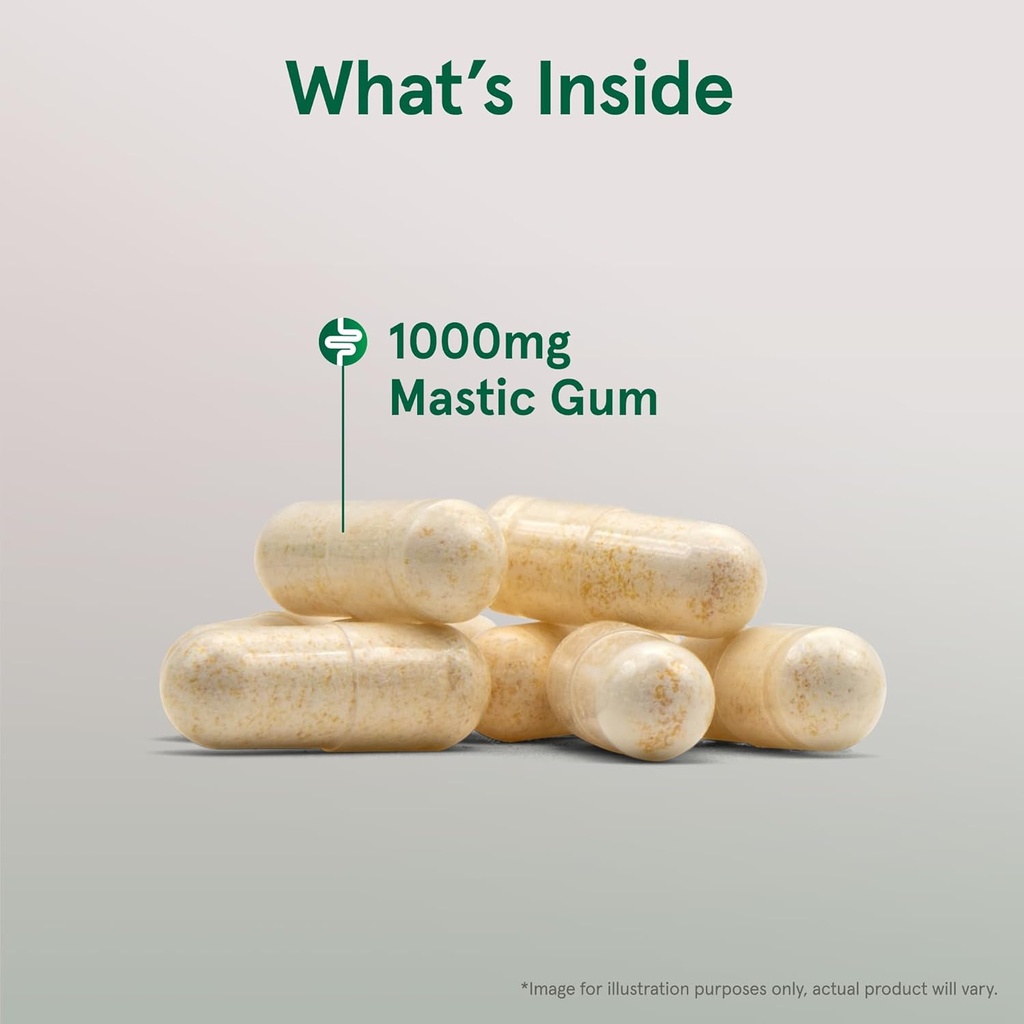 jarrow-formulas-mastic-gum-1000-mg-dieta-3.jpg