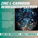 zinc-l-carnosine-375mg-per-capsule-90-ve-3.jpg