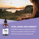 vimergy-liquid-zinc-55-ml-and-zinc-refil-2.jpg