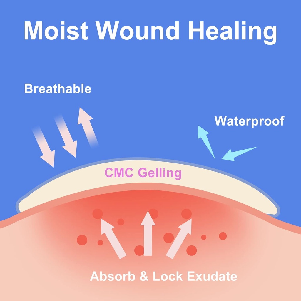 20-count-hydrocolloid-bandages-2-x-4-in--4.jpg