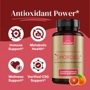 all-in-one-metabolism-bundle---morosil-b-3.jpg