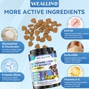 weallin-dog-vitamins-dog-allergy-relief--3.jpg