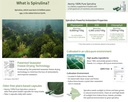 spirulina-1-69oz-48g-120capsules-100-pur-4.jpg