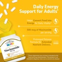 21st-century-niacinamide-500-mg-prolonge-2.jpg