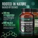 refined-root-dihydroberberine-300mg-with-4.jpg