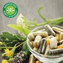swanson-sunflower-lecithin-powder-non-gm-5.jpg