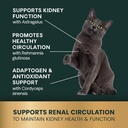 vetriscience-kidney-health-chewable-tabl-4.jpg