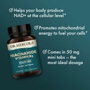 dr-mercola-niacinamide-vitamin-b3-50-mg--5.jpg