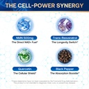 cfilihtc-nmn-supplement-500mg-nmn-nad-su-3.jpg