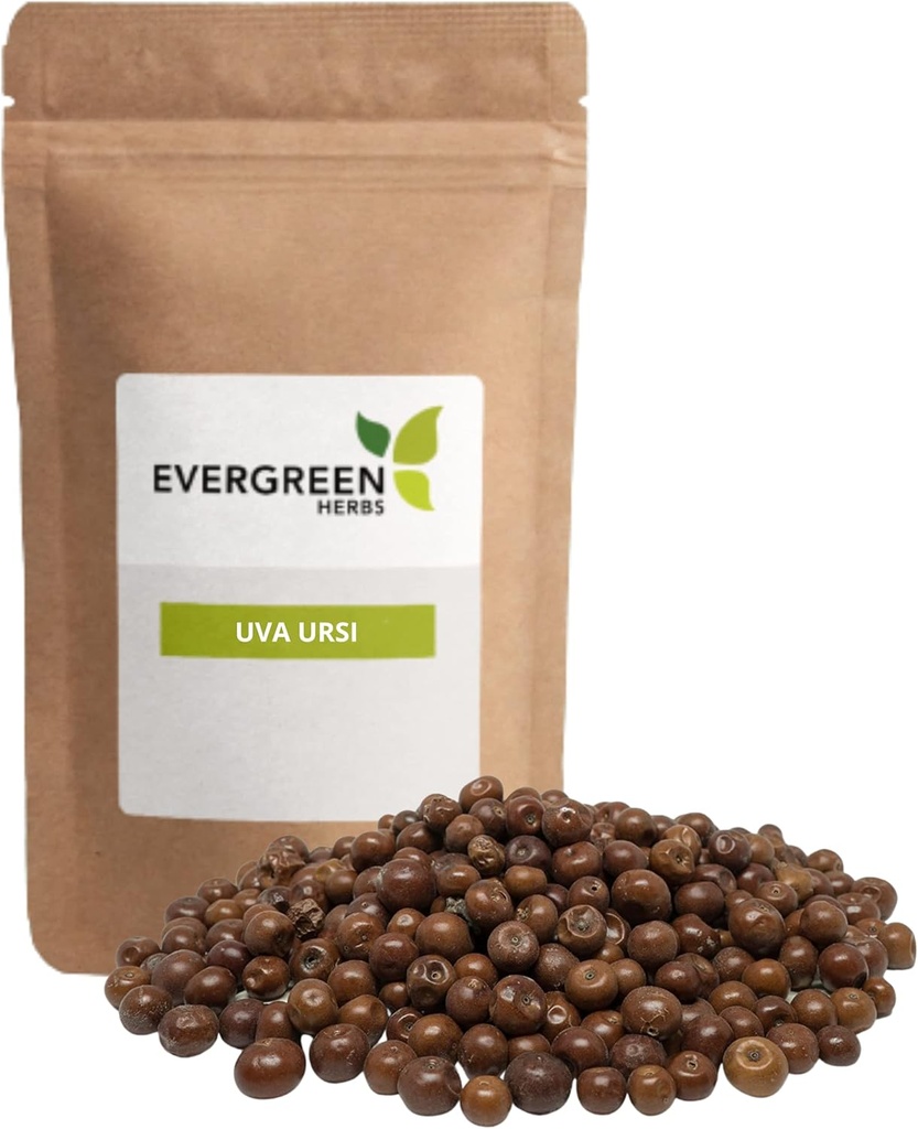 Erbe Evergreen Pinguica Fruto - Uva Ursi Frutta (8 oz.) - Resealable Stand Up Pouch per assicurare la freschezza!