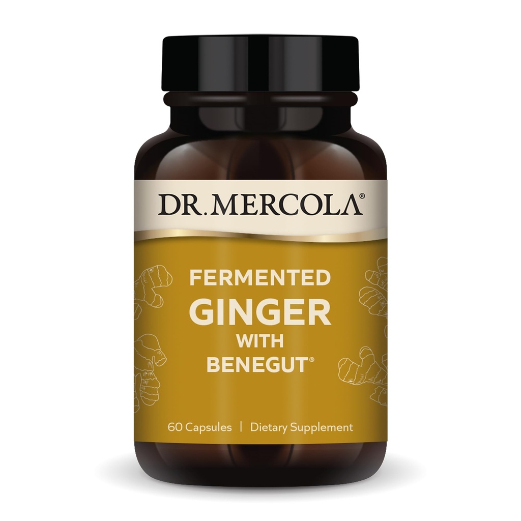 Dr. Mercola Fermented Ginger con Benegut - Supporti Digestivi & Gut Salute - Aids Gas occasionale, Bloating & Discomfort - Non-GMO, Gluten-Free & Soy-Free - 60 capsule (60 Servings)
