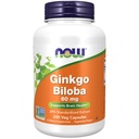 NOW Integratori alimentari, Ginkgo Biloba 60 mg, 24% Estratto standardizzato, Progetto non OGM verificato, 240 capsule di Veg