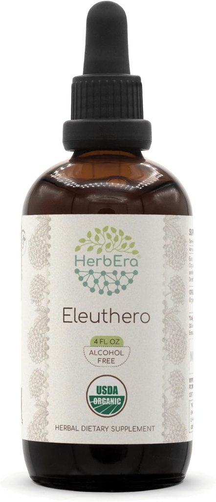 HerbEra Eleuthero B120 USDA Organic Tincture | Alcohol-Free Extract, High-Potency Herbal Drops | Certified Organic Eleuthero (Eleutherococcus Senticosus, Siberian Ginseng) Radice essiccata (4 oz)