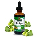 Risposta della natura Alcohol-Free Ginkgo Leaf 2000mg 2oz Extract | Stimola la memoria, Mood & Concentration | Gluten-Free, Kosher Certified & No Preservatives | Single Count