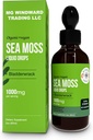 Gocce liquide del moss del mare organico | 30.000 MG | Moss del mare con la vescica, Elderberry | 4X più forte moss organico del mare che pillole e capsule per la vita sana generale! 1 bottiglia
