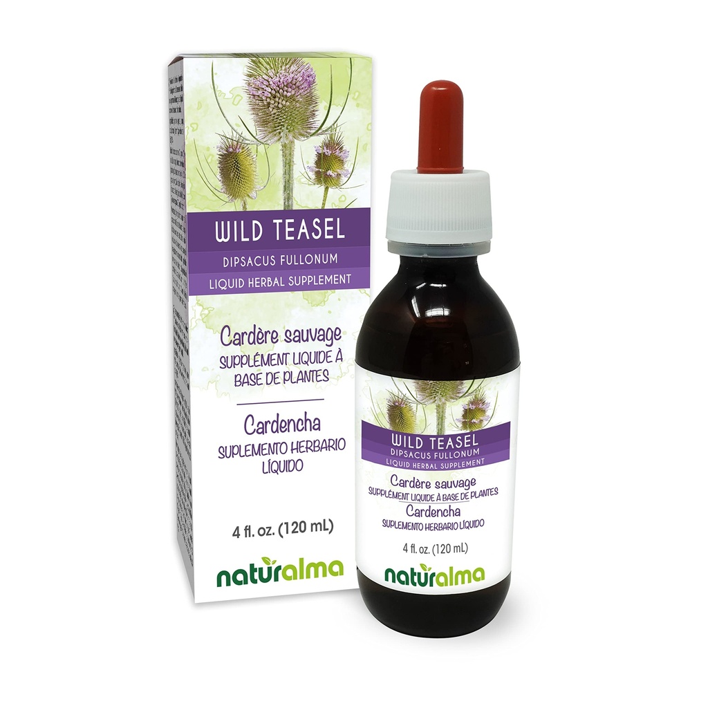 Naturalma Wild Teasel o Fuller's Teasel (Dipsacus fullonum o D. sylvestris) Root Alcohol-Free Tincture - 4 fl oz Liquid Extract in Drops - Herbal Supplement - Vegan