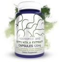 Nootropics Depot Gotu Kola Extract Capsules | 120mg | 90 Count | Acid Resistant | Centella asiatica | 35-45% Triterpenes | Supports Healthy Stress Levels | Promuove il miglioramento della memoria