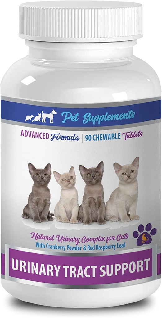cat Dieta urinaria - Supporto del tratto urinario - per gatti - Formula naturale - CHEWABLE - gatto Mirtillo urinario - 1 Bottiglia (90 Chews)