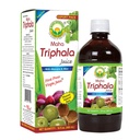 Succo di base Ayurveda Maha Triphala con Aloe Vera & Mint – 16 Fl Oz (480ml) | Bevanda naturale | Succo di prima stampa vergine | No Aggiunto Zucchero | Grande per uso quotidiano & pulizia