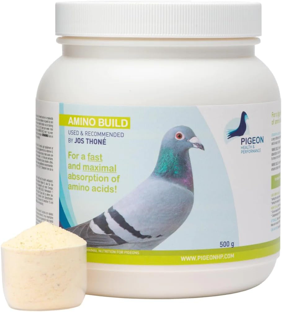 PHP generico Amino Build 500g - Aminoacidi di costruzione muscolare Pigeon Health & Performance