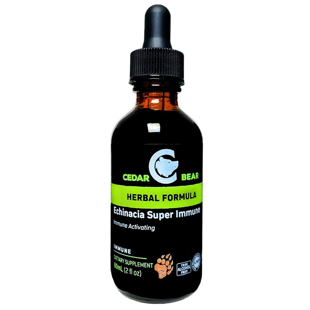 Cedro Orso Echinacea Super Immune Blend un integratore a base di erbe liquido che aumenta il vostro sistema immunitario per aiutare a mantenere l'attività delle cellule bianche del sangue e altre funzioni immunitarie 2 FL Oz