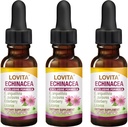 Lovita Echinacea Extract Liquid | 1 FL OZ | 350 mg per Serve | Tintura di erbe concentrata | Vegan | Alcohol-Free | con Estratto di mirtillo e liquirizia (Pack of 3)