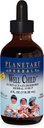 Echinacea-Elderberry Syrup , 4 fl oz (128.28 ml)