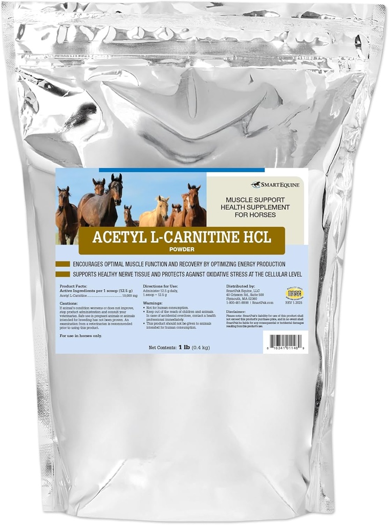 Acetyl L-carnitina HCL polvere | Supplemento di energia del cavallo e supplemento del muscolo per i cavalli che supportano la funzione del muscolo & More | Antioxidant-Rich Formula pura | 1 lb Bag