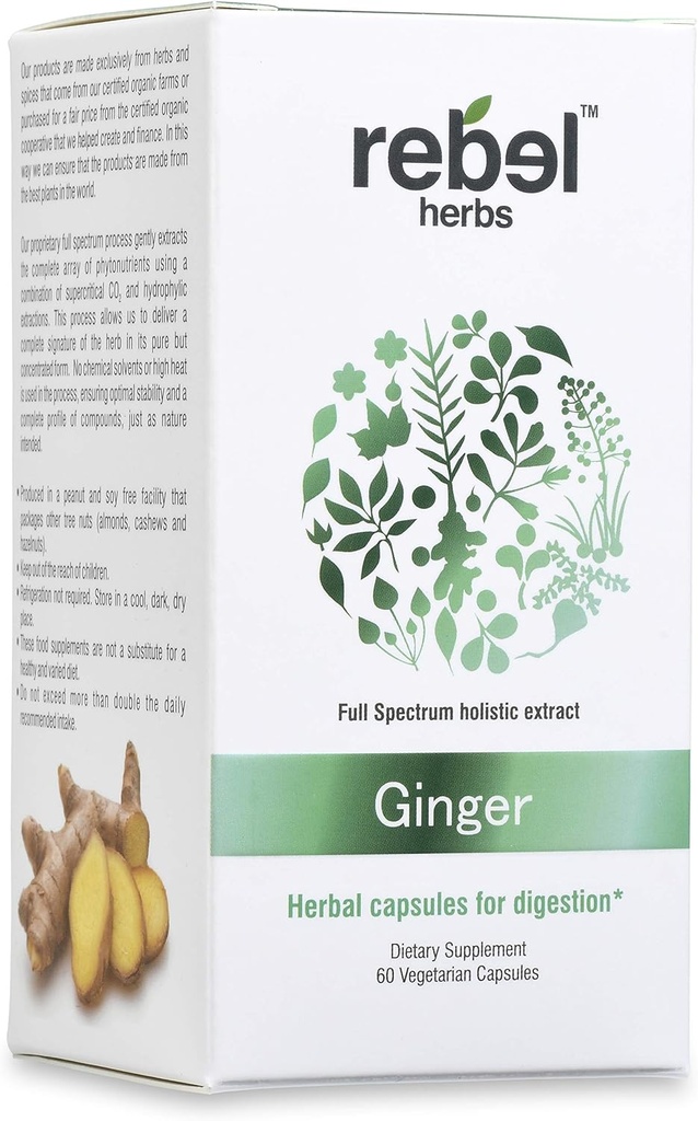 Rebel Herbs Ginger Capsules Potente Doppio Estratto, Non OGM, Gluten Free, Ginger Root (Rhizome) Estratto