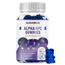 Alpha GPC Choline Gummies 600mg con Phosphatidylserine & Bacopa – Supporto del cervello 3-in-1 per la memoria, Focus & Long Term Cognitive Health – Formula naturale senza zucchero, 60 Count