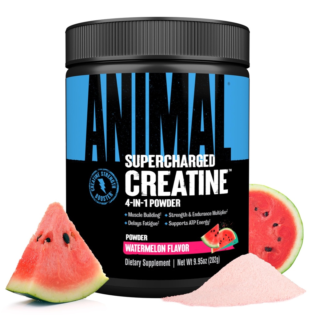 Polvere di creatina supercaricata animale - Monoidrato di creatina aromatizzato potenziato con Betaine anidra, violaForce & Senactiv, resistenza, resistenza, recupero del muscolo per gli uomini e le donne - Watermelon, 300g