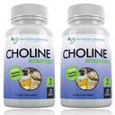Premium Choline - 500 mg - 120 capsule di verdure - Supporta la salute cognitiva, la memoria & di più - 2 Pack
